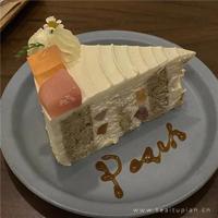 优美语段摘抄300字