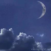 尝试去，忘记一个人，忘记一段往事