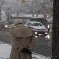 雨的印记散文随想