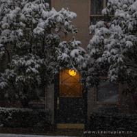 描写桃花的美文摘抄