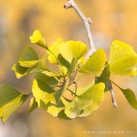 爱情凄美的句子，凄凉的句子