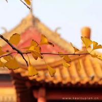 张氏诡谈之中邪