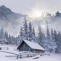 人心不足的悲剧