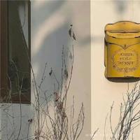 关于漫舞红尘叹情深散文