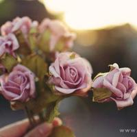 “百吵不分”就是好婚姻