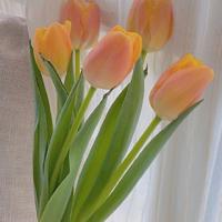 电影《等风来》里掩藏的真与美散文