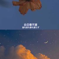 为了母亲的微笑