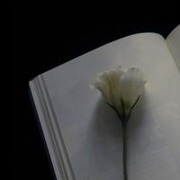 苏子熙:你总能忽略我的感受你总以为我哄哄就会好