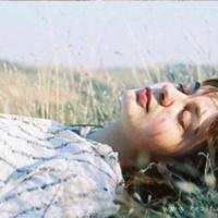 钱小样经典语录-你明明是一只蜗牛，非要背乌龟的壳，严重超载，