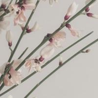 经典收集一些爆笑笑话段子