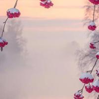 冬终将过去，春天即将到来临