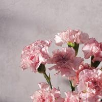 这两个故事很短，却很感人