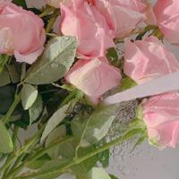 我的齐天大圣成了别人的盖世英雄（颜苏）