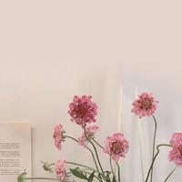 人生的忠告，感悟生活的句子