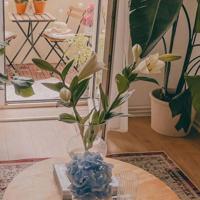 张爱玲经典语录精心收集50句