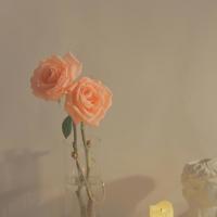 你是我心中的一滴泪