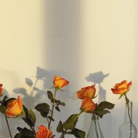 名人的一些关于描写环境优美的诗句