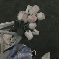 与魔鬼共舞之莫名下地狱