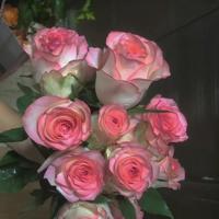 形容心情不好的句子,表达心情不好的句子