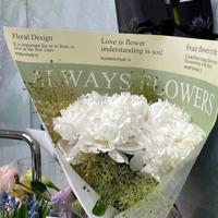 3.12植树节祝福语公益短信暖心问候大全精选