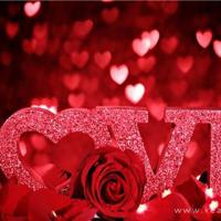 中国青海民族文化艺术展在南非拉开序幕