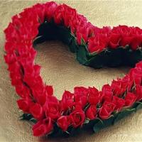 那些被雪埋葬的岁月