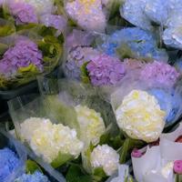 下辈子我要好好的爱妳