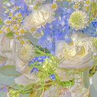 河南农村真实鬼故事-弑父