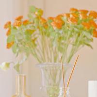 清明节养生祝福语缅怀说说大全