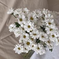 新婆婆只比媳妇大一岁，这是当姐妹还是当婆媳？