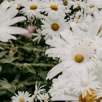 开始不给机会，中间不给空间，结局不给宽容。