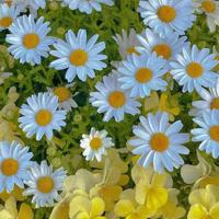 且敬往事一杯酒