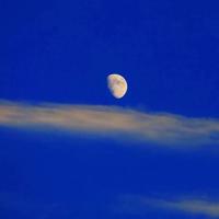 颗颗母亲心片片慈母情