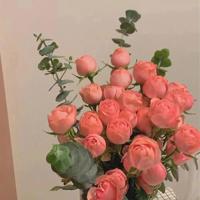 50句经典爱情人生格言,爱情如命,生命似水