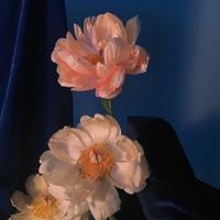 几天没有你的消息也不会主动去询问。