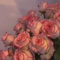 鼓励人要勇往直前的一句话|鼓励一句话