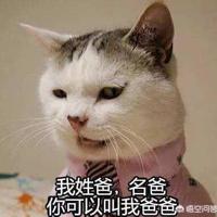 激励自己的话，鼓励自己的话，鼓励激励的话