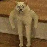 你给的爱我全糟蹋了