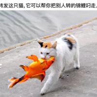 美文 人生感悟