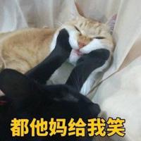 【情感美文】你在,温暖就在禅心若梅等六篇