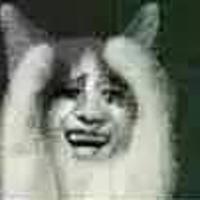 100句不要太长的励志句子