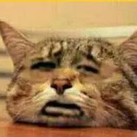 描写黎明的美文摘抄