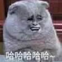 愿有情的都相爱,愿孤独的不必再孤独。