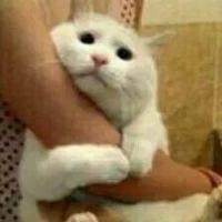 朱自清美文摘抄