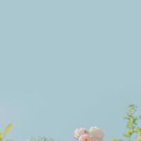 这5类女人再漂亮，男人也不敢娶！