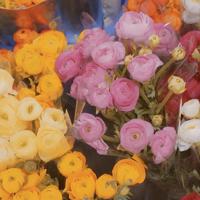 妈妈,以后由我拿命爱您