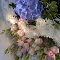 幸福的咫尺与天涯