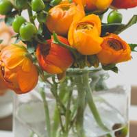 晚安暖心的话语大全/晚安句子