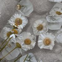 藏在购物清单里的爱