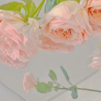 惹人发笑的搞笑个性签名|搞笑句子